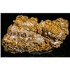 Image 2 : Gold Ore in Quartz, 16:1 Mine [189626]