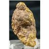 Image 1 : Gold Nugget, Madonna & Child from Benson Gulch 25.4g [188257]
