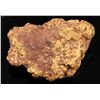 Image 2 : Benson Gulch Gold Nugget in Red Quartz, 14.5g [190338]