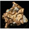 Image 1 : Gold in Quartz, Placer County, CA [189556]