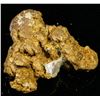 Image 2 : Crystalline Gold in Quartz, Placer County, CA [189558]