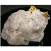 Image 2 : Gold in Quartz Eagle's Nest Mine [189620]