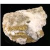 Image 2 : Crystalline and Wire Gold in White Quartz, Placerville [189398]