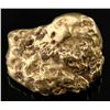 Image 2 : Placer Gold Nugget [189486]
