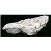 Image 2 : Gold in Quartz Ore Specimen, Sierra County, CA [189552]