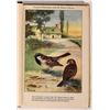Image 2 : Fowl Hunting Library [181599]