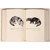 Image 8 : Fur Trade, Phillips, 1961, 2 vols [181712]