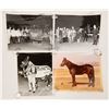 Image 2 : Harness Racing: Vintage Photos (100) [189325]