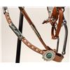 Image 8 : Armand American Horse Native American Headstall [187484]