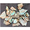 Image 2 : Turquoise - No. 8 Mine Nevada, Spider Web [189118]