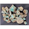 Image 1 : Turquoise - No. 8 Mine Nevada, Medium Grade [189275]