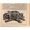Image 8 : Crofutt's New Overland Tourist, Vol.1, 1878-9 [183733]