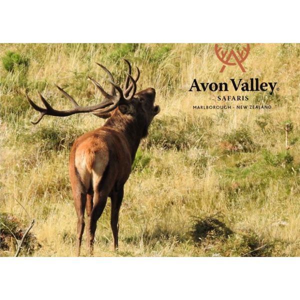 New Zealand Red Stag Hunt for 6 Hunters.  Bonus Long Range Goat Cull Hunt!
