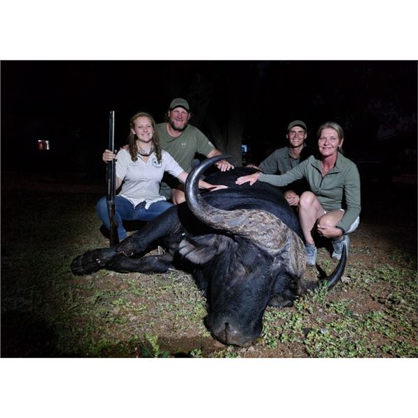 Cape Buffalo Hunt up to 42 Inches with Theron Safaris
