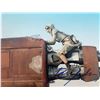 Image 1 : Star Wars Daisy Ridley signed movie photo. GFA Authenticated