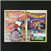 Image 1 : LOT OF 2 SPIDERMAN COMICS (MARVEL COMICS)