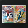 Image 1 : LOT OF 2 SPIDERMAN COMICS (MARVEL COMICS)