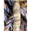 Image 2 : CORDE AVEC CROCHET 25', 530LBS NORGUARD