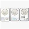 Image 2 : [3] 2018-2021 Silver Eagle NGC MS69