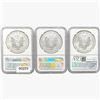 Image 2 : [3] 2015-2018 Silver Eagle NGC MS69