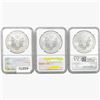 Image 2 : [3] 2013 Silver Eagle NGC MS69