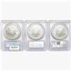 Image 2 : [3] 2005-2006 Silver Eagle PCGS MS69