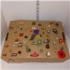 Image 1 : Pin Collection Lot A