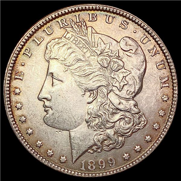 1899 Morgan Silver Dollar UNCIRCULATED