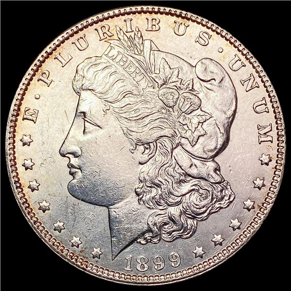 1899 Morgan Silver Dollar UNCIRCULATED