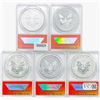 Image 2 : 2013-W Silver Eagle 5-Coin Set ANACS