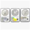 Image 2 : [3]2023-W Silver Eagle NGC MS/PF70