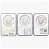 Image 2 : [3]1987-1989 Silver Eagle NGC MS69