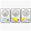 Image 2 : [3]2021-2023 Silver Eagle NGC MS69-70