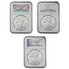 Image 1 : [3 Coins] 2013-2014 US Silver Eagle Lot NGC MS70