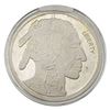 Image 1 : 2015 US Buffalo 5oz Silver Round