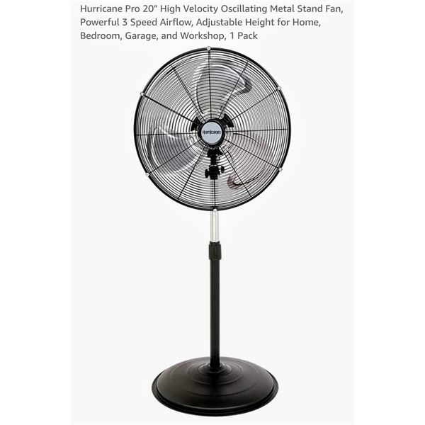 Fan