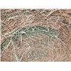 Image 4 : Lot 4B  Alfalfa Hay Round Hay Bales   Avg Wt  1243 lbs