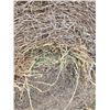 Image 4 : Lot 2E   Alfalfa Round Hay Bales     Avg Wt 1130 lbs