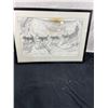 Image 1 : Framed Sled Dog Print