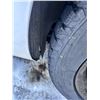 Image 9 : 2013 Buick Verano