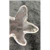 Image 5 : Assortment of Swarovski Crystal & Crystal Ornaments