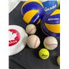 Image 5 : Assorted Sports Balls & Frisbee