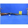 Image 5 : Non-Restricted - Winchester Model 12 in 12 Ga. 2 3/4" Full