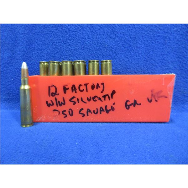 250 Savage WW Super Silvertip Factory Cartridges