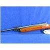 Image 3 : No PAL Required - Made in China Air Rifle in .177 Cal