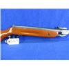 Image 6 : No PAL Required - Made in China Air Rifle in .177 Cal