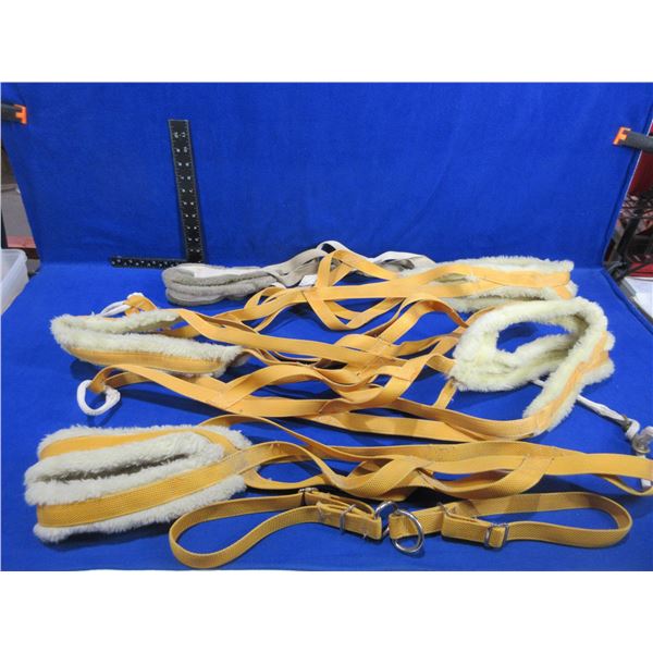 5 Sled Dog Harnesses, 2 Collars & 4 Packs of Dog Booties