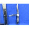 Image 1 : Buck 317 2 Blade Folding Lock Knife - 4" Blades