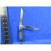 Image 2 : Buck 317 2 Blade Folding Lock Knife - 4" Blades