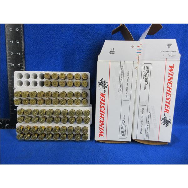 Brass Only - 22-250 Rem. Win. Headstamp Unprimed